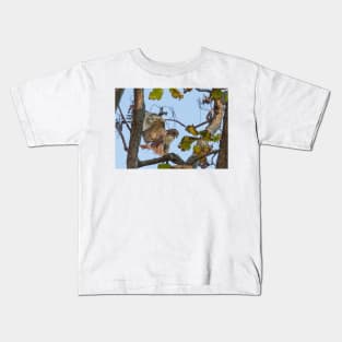 Red Tailed Hawk alighting in tree Kids T-Shirt